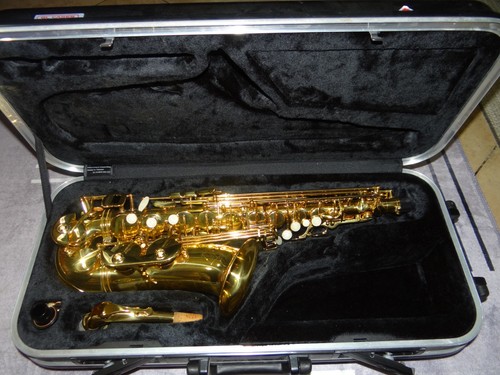 Lightly used ravel gold - ravel,