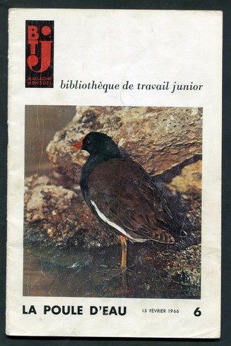 Btj magazine bibliothèque - btj,