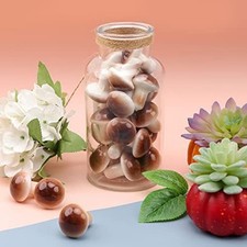 Décoration Maison Décoration