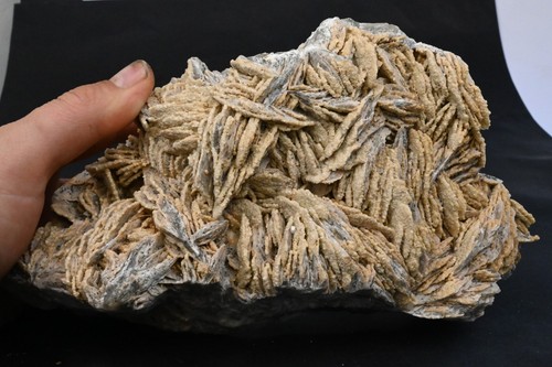 Baryte crêtée maroc - du,