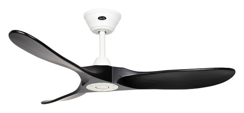 Ventilateur plafond - ventilateur, de