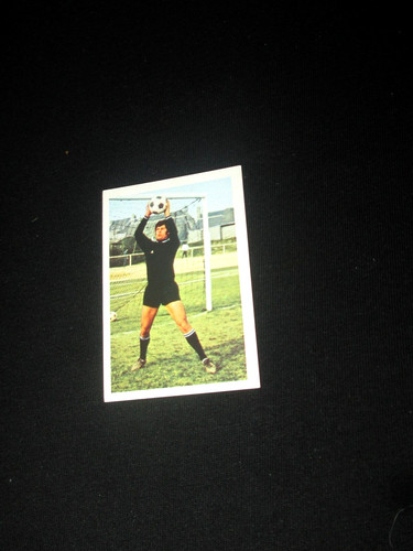 Gallina sco angers image - gallina,