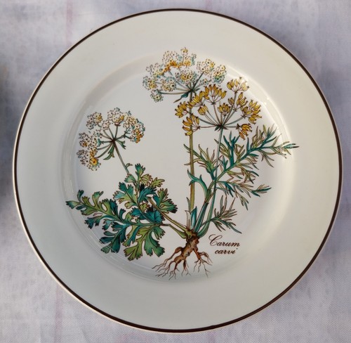 Villeroy boch botanica carum - botanica,