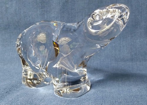 Très bel ours polaire - bel, en