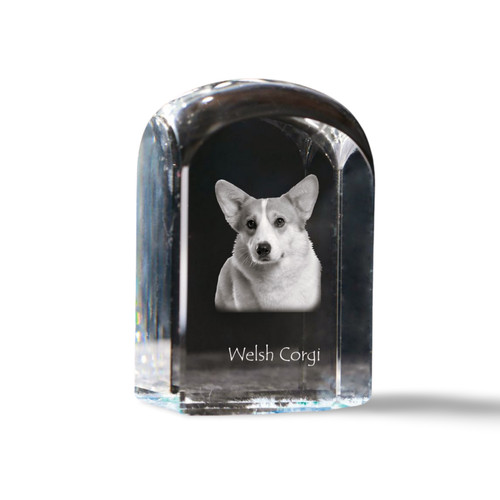 Pembroke welsh corgi - welsh, cristal