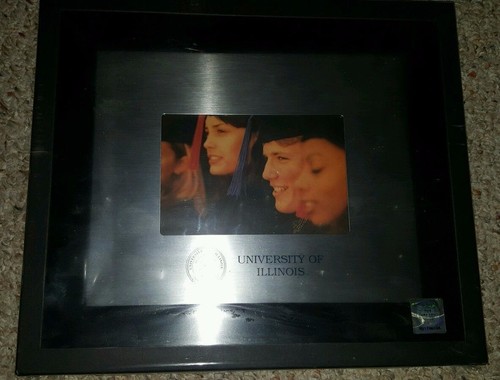 New university illinois - university,