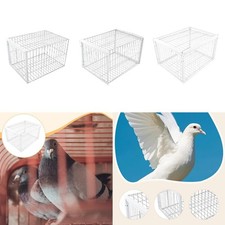 Cage décorative pour piège à oiseaux automatique en métal robuste pour