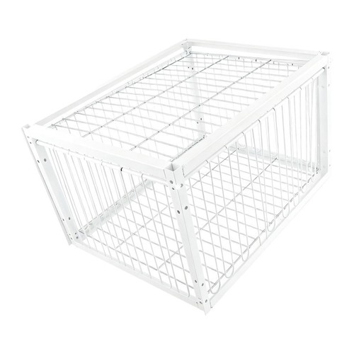Cage piège pigeons - cage,