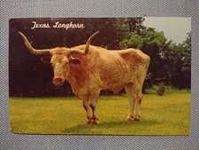 Ancienne Carte Postale Texas