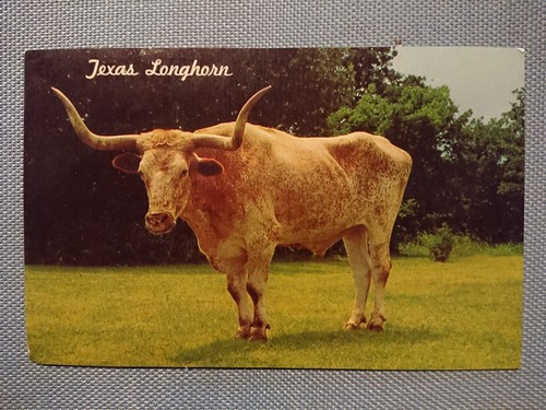 Ancienne carte postale texas - carte,