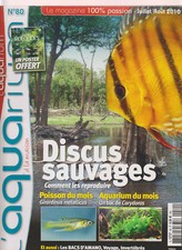 AQUA. @ MAISON N°80 DISCUS SAUVAGES / GIRARDINUS METALLICUS / REAL.MUR VEGETAL