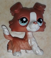 Petshop chien colley 1542