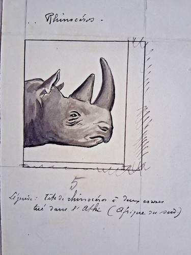 Dessin original non - , signé