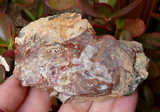 Lithophyse du Massif de