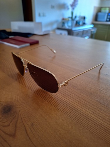 Lunette cartier ct0111s - lunette,
