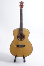 Washburn Apprentice Series F5