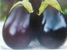 30 Graines d'Aubergine Black Beauty