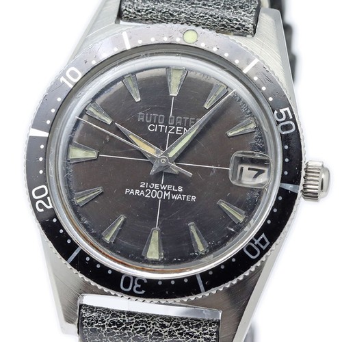 Citizen auto dater skin - dater, diver