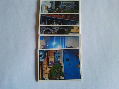 Images panini tortues - images,