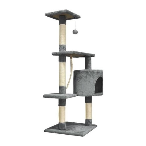 Paloma arbre chat - paloma, a