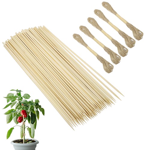 100pcs tuteurs bois jardin - bois,