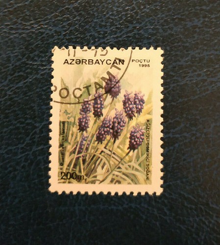 Azerbaidjan 1995 flora and - azerbaidjan,