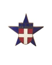 Insigne section éclaireur