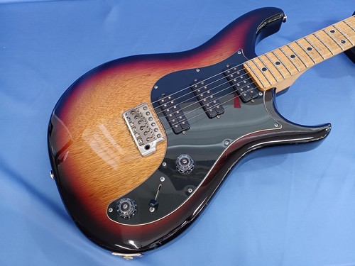Guitare électrique paul - guitare, reed