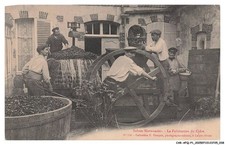 CAR-AFQP1-0020-61 - SCENES