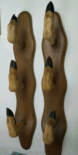 Paire porte fusils - fusils, 3