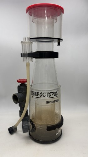 Reef octopus classic - octopus,