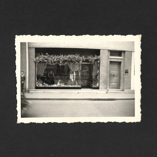 Laurence storefront evreux - laurence,