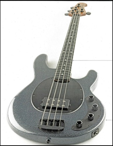 Ernie ball music man stingray - ernie,