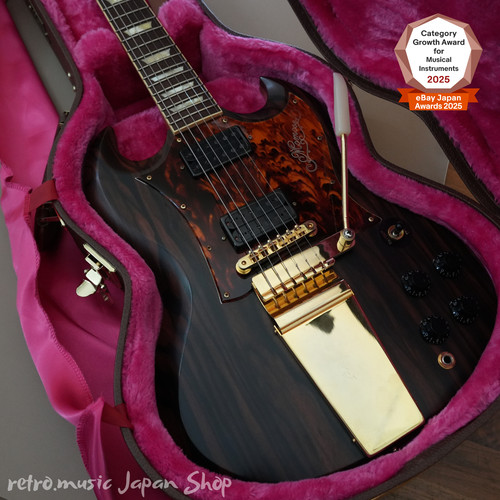 Guitare momose msg ewc sp18 - guitare,