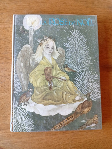 Rose noel illustre par - de,