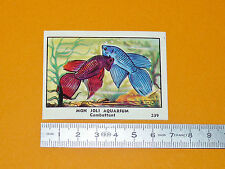 CHROMO CHOCOLATERIE DE L'UNION 1951 1952 POISSON AQUARIUM COMBATTANT