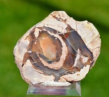 Calcedoine var agate & Quartz