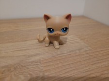 Petshop chat européen , 228 LPS