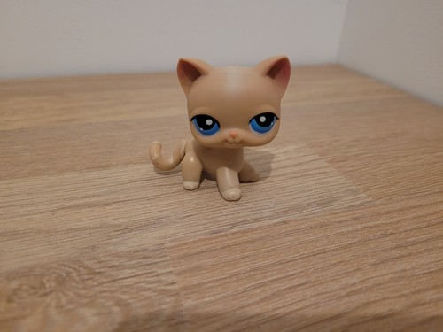 Petshop chat européen 228 - européen, ,