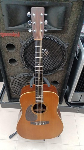 Guitare acoustique électrique