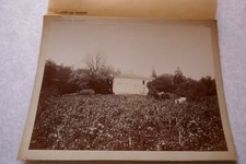 Château TROPLONG - MONDOT