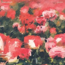 Rival Schools Pedals - Pink