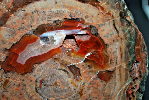 Agates fréjus - agates, )