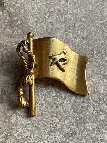 Pin drapeau doré - pin’s,