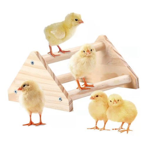 Poussin perchoir jouet poussin