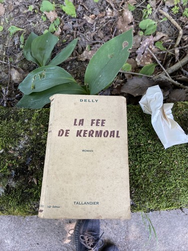 Fée kermoal par delly - fée,