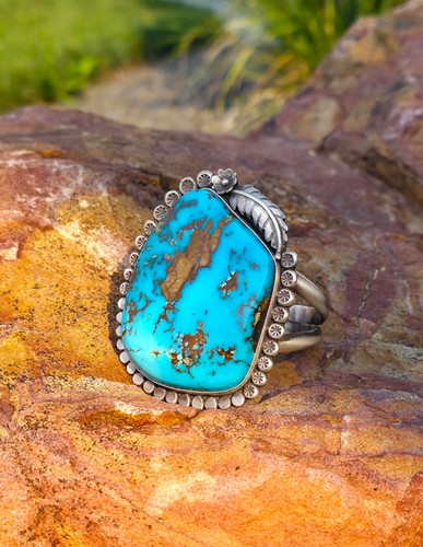 Leigha cleveland navajo - cleveland,