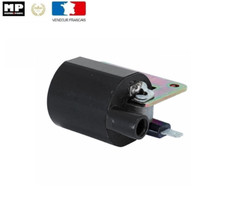 Bobine d'Allumage (Pour CDI 1