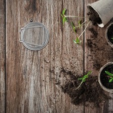  2 Pcs Couvercle Germoir En