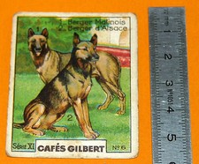 CHROMO 1920 1930 CAFE GILBERT BERGER MALINOIS BERGER D'ALSACE SERIE XI N°6